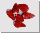 �C�`�S
